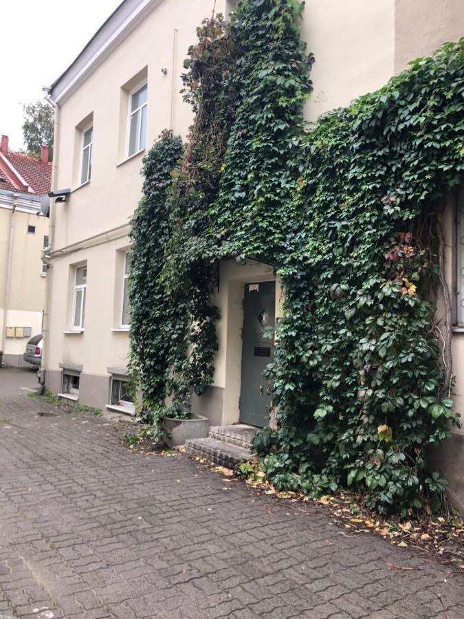 Leilighet Angel House Vilnius, Dysnos